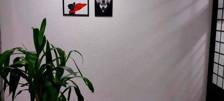 圣若泽旅馆(Pousada São José)图片