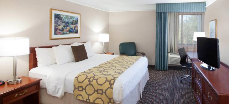 特克萨卡纳温德姆呗盟酒店(Baymont by Wyndham Texarkana)图片