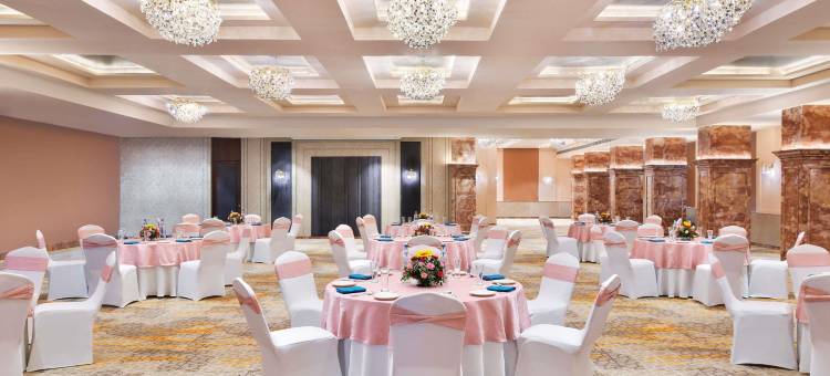 诺富特焦特布尔 ITI 圆环酒店(2023 年 4 月开业)(Novotel Jodhpur Iti Circle)图片