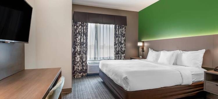 拉皮德城舒适套房酒店及会议中心(Comfort Suites Conference Center Rapid City)图片