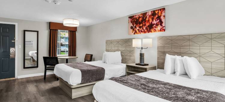 北岸酒店(Northshore Hotel)图片