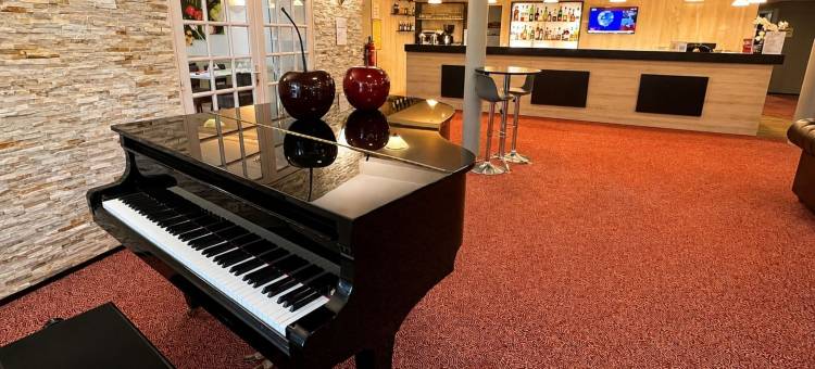 阿缇娜酒店(Logis Hotel Altina)图片