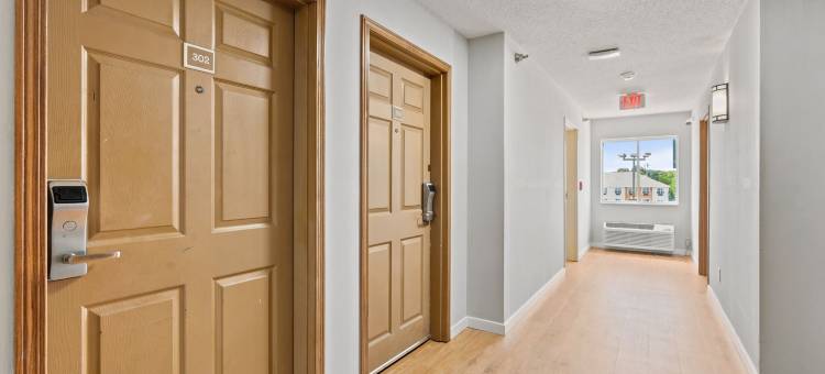 罗切斯特威洛套房酒店(Willow Inn Suites Rochester)图片