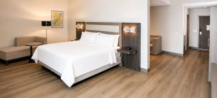 洲际酒店集团旗下的蒙特雷森德罗智选假日酒店及套房(Holiday Inn Express & Suites MONTERREY SENDERO by IHG)图片