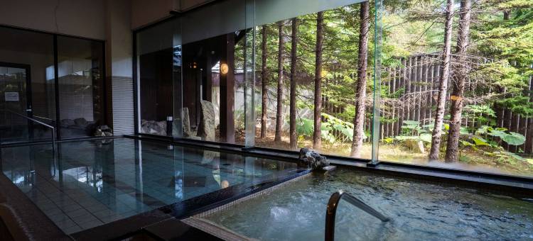 佐幌度假酒店(Sahoro Resort Hotel)图片
