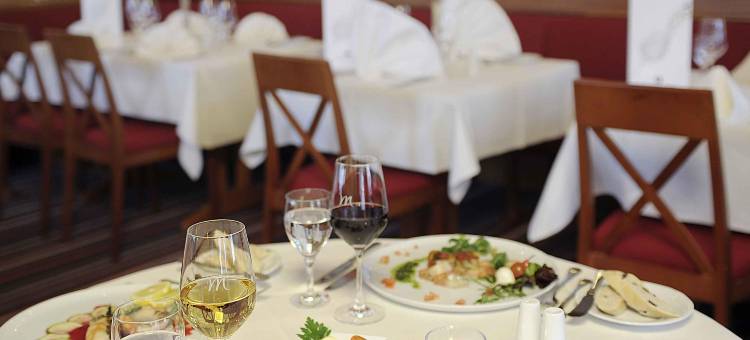 腓特烈斯多夫巴特洪堡美居酒店(Mercure Hotel Bad Homburg Friedrichsdorf)图片