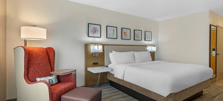 希尔顿花园酒店-亚特兰大诺斯波茵特(Hilton Garden Inn Atlanta Northpoint)图片