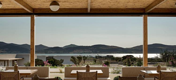 帕罗斯帕里安编年酒店 - 凯悦悠选(Parian Chronicle Hotel Paros)图片