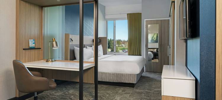 西萨克拉门托SpringHill Suites酒店(SpringHill Suites West Sacramento)图片
