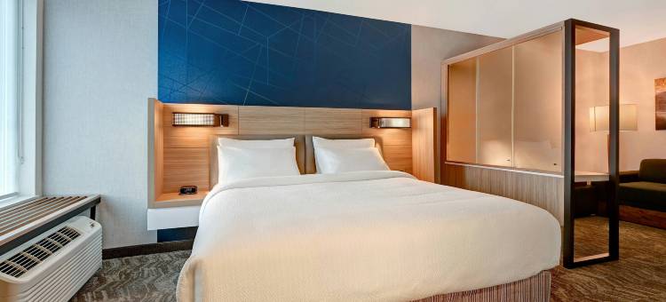 阿尔伯克基大学区万豪SpringHill Suites酒店(SpringHill Suites Albuquerque University Area)图片
