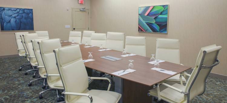 佛罗里达坦帕 - 韦斯利查普尔希尔顿花园酒店(Hilton Garden Inn Tampa - Wesley Chapel)图片