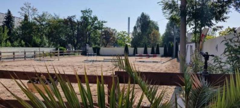 Farm Stay NH Stables图片