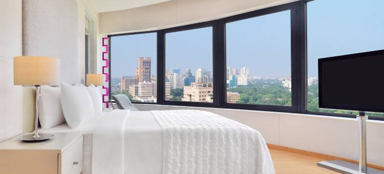 新德里艾美酒店(Le Meridien New Delhi)图片