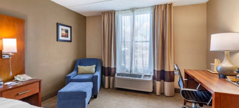 舒适酒店(Comfort Inn)图片