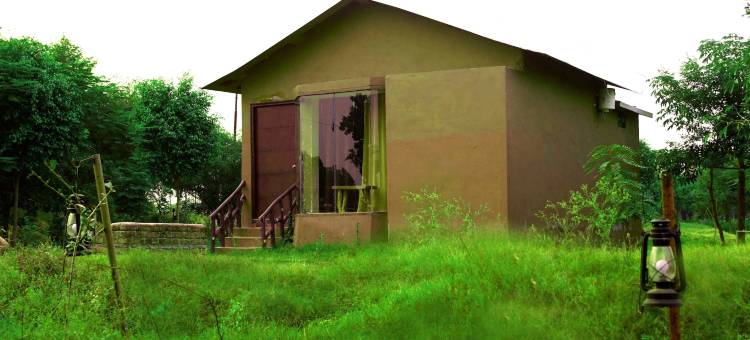 夏伯尔野生动物游猎酒店(Chambal Wildlife Safari Lodge)图片