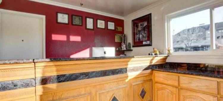 德里夫特伍德酒店(Driftwood)图片