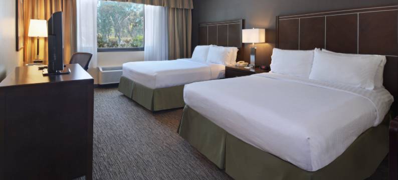 阿纳海姆假日套房酒店(Holiday Inn & Suites ANAHEIM (1 BLK/DISNEYLAND®) by IHG)图片