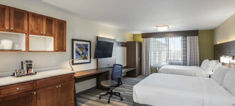 梅迪辛哈特横加1号高速公路智选假日套房酒店(Holiday Inn Express & Suites MEDICINE HAT TRANSCANADA HWY 1 by IHG)图片