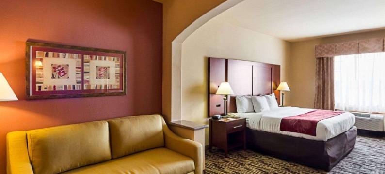 麦卡伦机场和La Plaza购物中心舒适套房酒店(Comfort Suites McAllen Airport and la Plaza Mall)图片