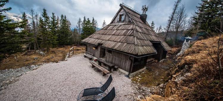 Chalet Pehta Velika Planina图片