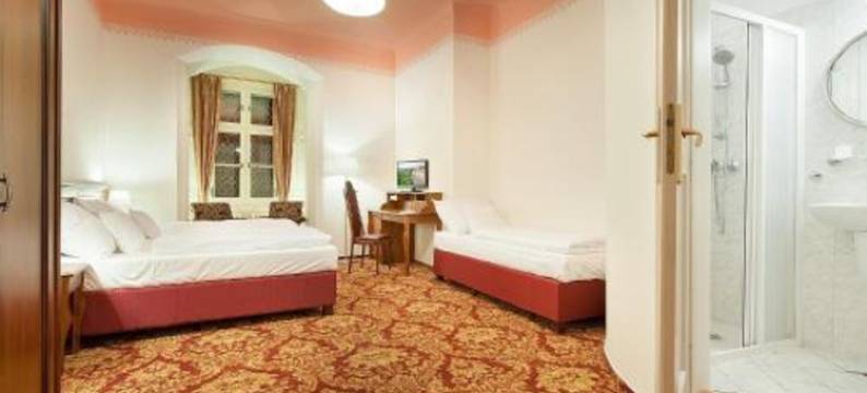 卢巴斯卡拉伊萨美吉酒店(EA Zamecky Hotel Hruba Skala)图片