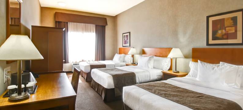 卡纳塔布鲁克斯酒店(Canalta Brooks)图片