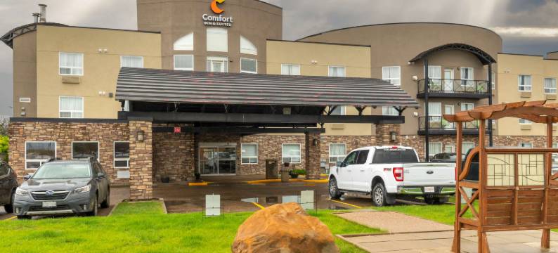 梅迪辛哈特舒适套房酒店(Comfort Inn & Suites)图片