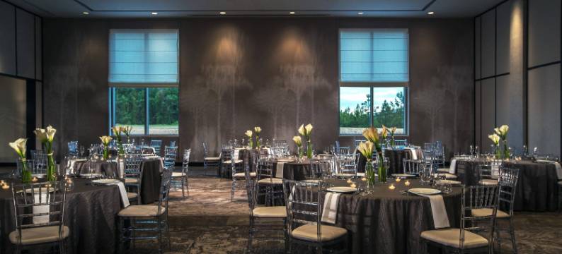 亚特兰大机场门户万丽酒店(Renaissance Atlanta Airport Gateway Hotel)图片