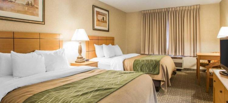 品质酒店及套房(Quality Inn & Suites)图片