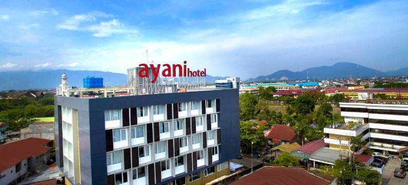 亚齐班达阿雅尼酒店(Ayani Hotel Banda Aceh)图片