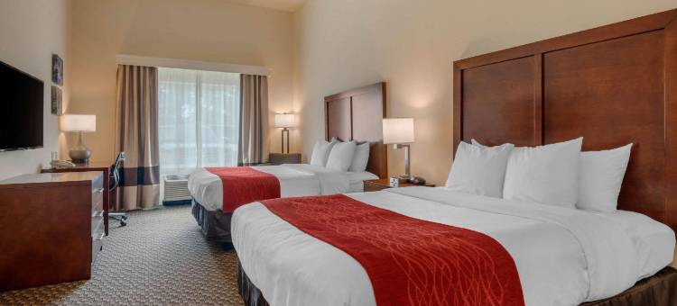 机场舒适套房酒店(Comfort Inn & Suites Airport)图片