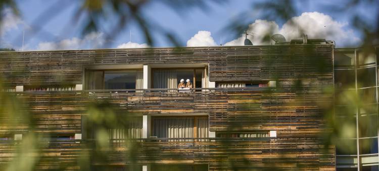 法拉肯特内尔酒店及卡丽娜水疗中心(Falkensteiner Hotel & Spa Carinzia)图片