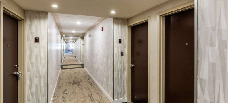 舒眠海滩酒店(Sleep Inn Orange Beach)图片