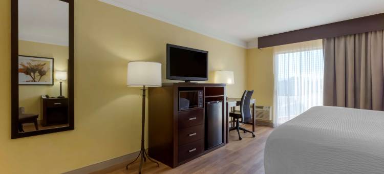 凤凰古德伊尔贝斯特韦斯特酒店(Best Western Phoenix Goodyear Inn)图片