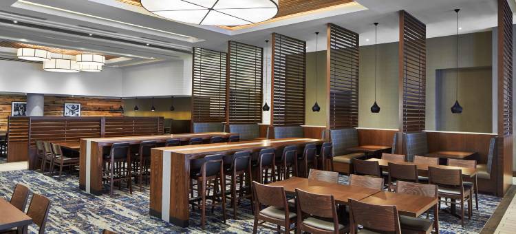 纳什维尔希尔顿希尔顿安泊酒店(Embassy Suites by Hilton Nashville Downtown)图片