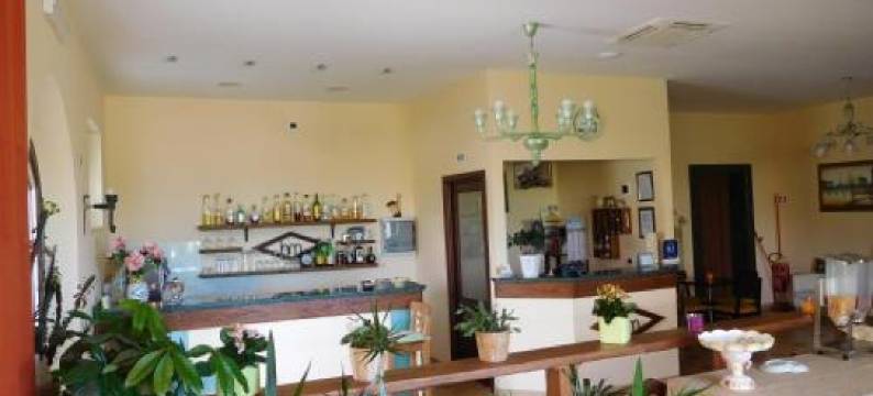 米开朗基罗酒店(Hotel Michelangelo)图片