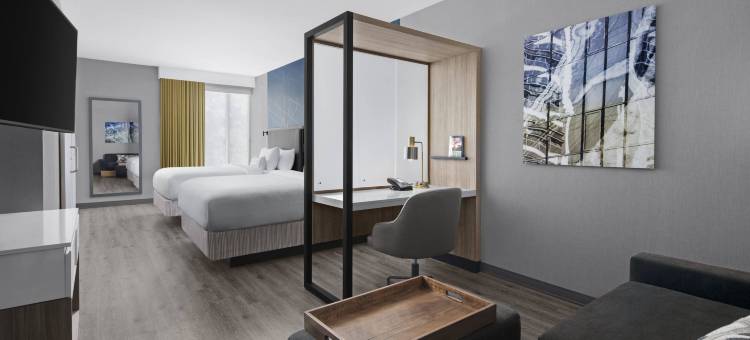 塔什霍韦斯特切斯特县万豪SpringHill Suites酒店(SpringHill Suites Tuckahoe Westchester County)图片