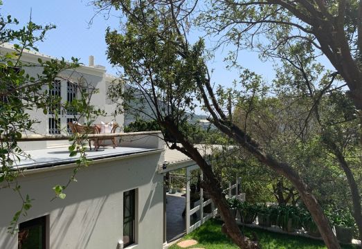 Frogs Hill Hotel Overview