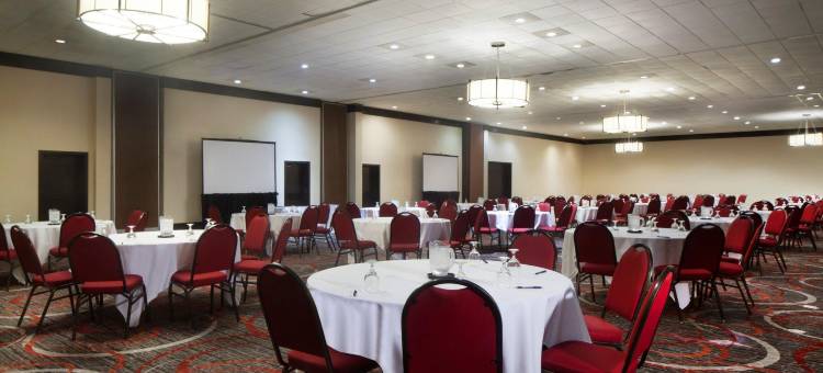 科珀斯克里斯蒂公寓和会议中心(Holiday Inn Corpus Christi Arpt & Conf Ctr)图片