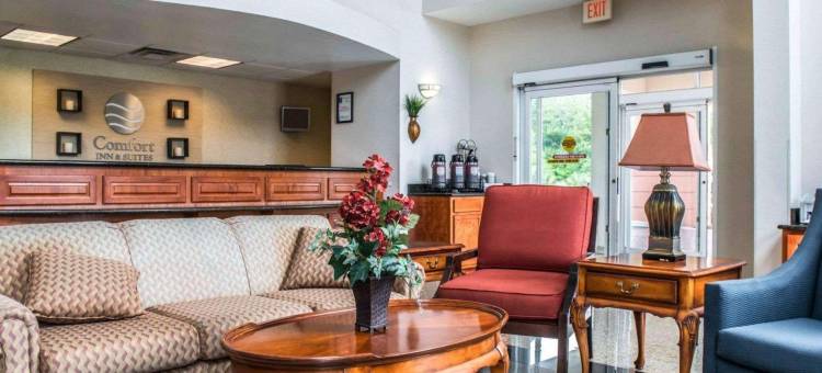 舒适套房酒店(Comfort Inn & Suites Panama City - St Andrew)图片