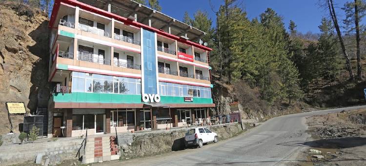 OYO 19342 Shyam Regency图片