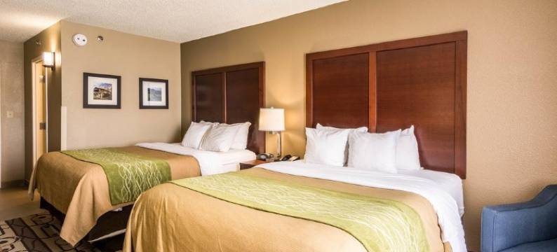 舒适套房酒店(Comfort Inn & Suites)图片