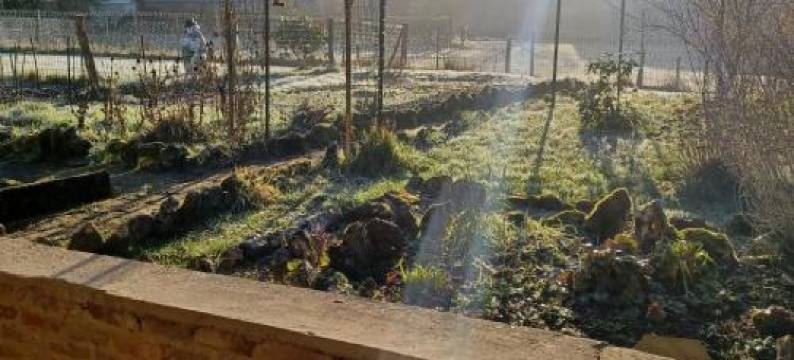 奥柯尔特尔度假屋(Gite Au Cortil)图片