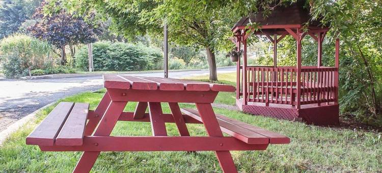 舒适酒店(Comfort Inn)图片