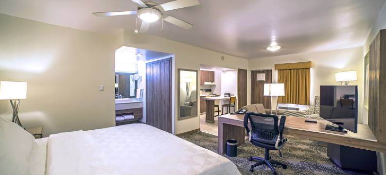 Holiday Inn & Suites 奇瓦瓦(Holiday Inn & Suites CHIHUAHUA EXPO by IHG)图片