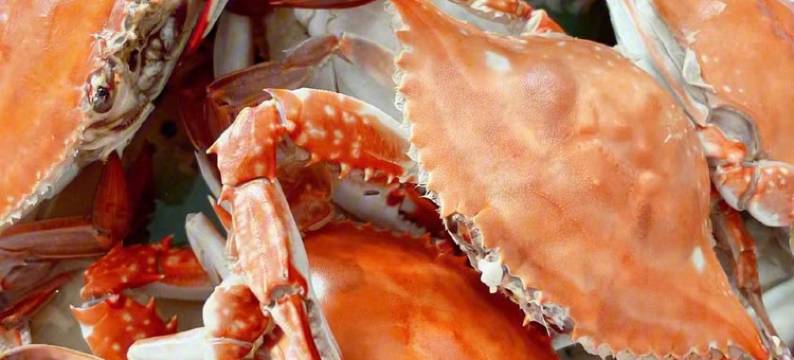 悠享居公寓(元江路分店)图片