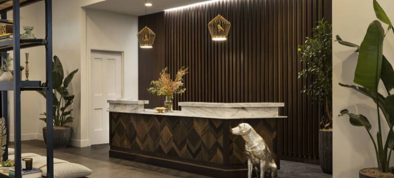 圣塔芭芭拉史杜瓦德酒店 - 臻品之选酒店(The Steward, Santa Barbara, a Tribute Portfolio Hotel)图片