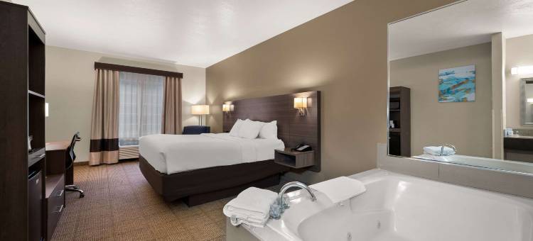 舒适套房旅馆(Comfort Inn & Suites)图片