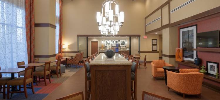 希尔顿欢朋套房酒店-洛诺克(Hampton Inn & Suites Lonoke)图片