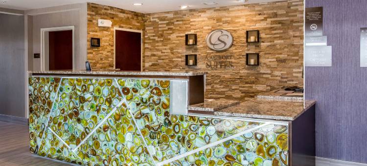 舒适套房酒店-拉斯克鲁塞斯25号州际公路北(Comfort Suites of Las Cruces I-25 North)图片